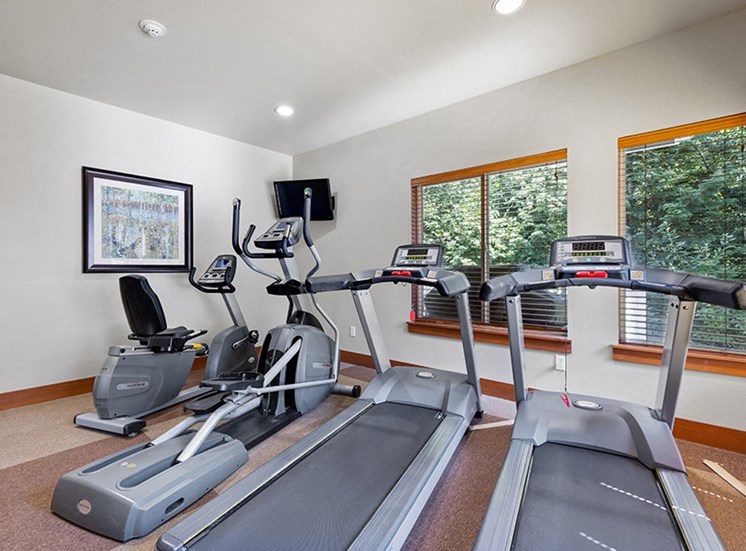 Fitness room with treadmills